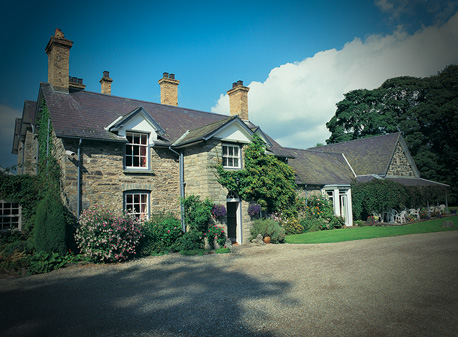 Tyddyn